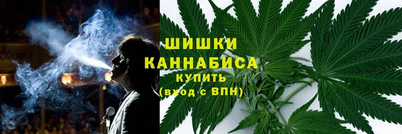 blacksprut онион  где купить наркотик  Правдинск  Бошки Шишки конопля 